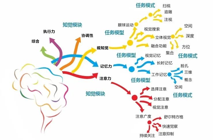 多国专家得出的结论：特定的大脑游戏可以促进神经回路的联结